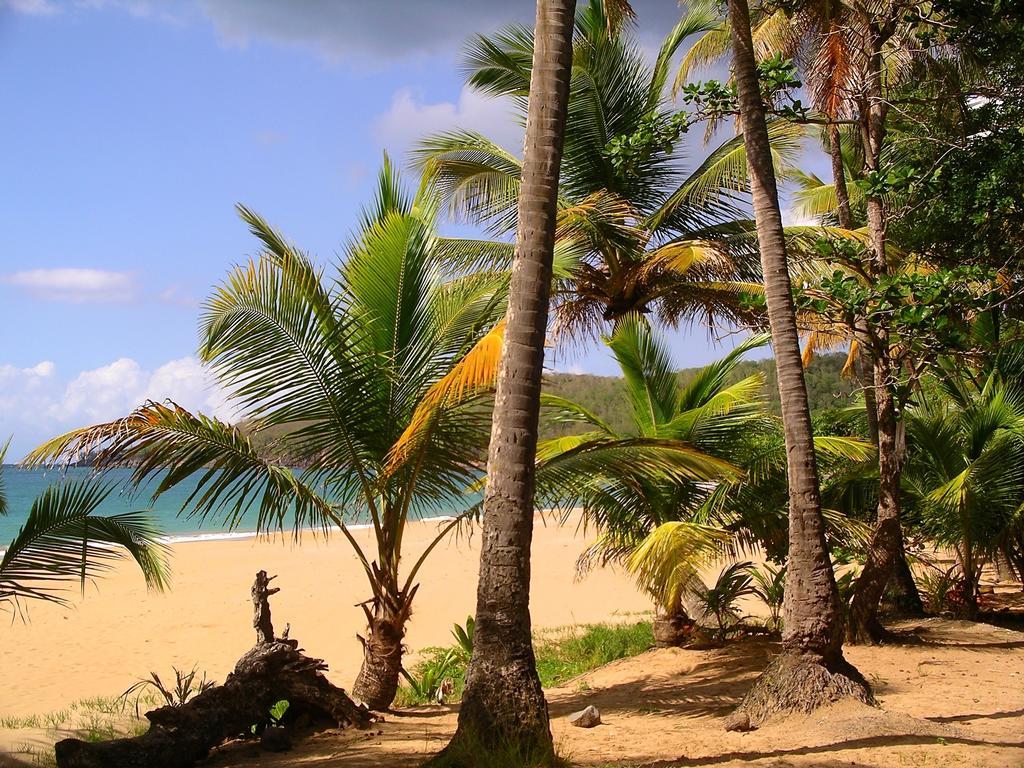 Hébergement de vacances Mangoplaya